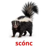 scónc billedkort for børn med billeder