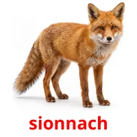 sionnach billedkort for børn med billeder