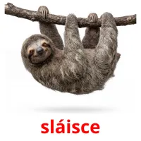 sláisce billedkort for børn med billeder