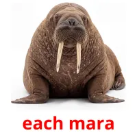 each mara billedkort for børn med billeder
