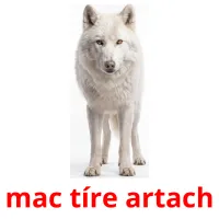 mac tíre artach billedkort for børn med billeder