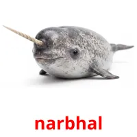 narbhal billedkort for børn med billeder