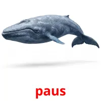 paus billedkort for børn med billeder