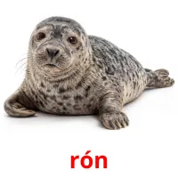 rón billedkort for børn med billeder