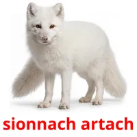 sionnach artach billedkort for børn med billeder