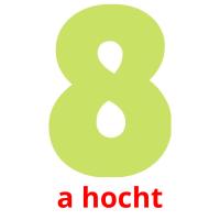 a hocht picture flashcards