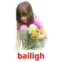 bailigh picture flashcards