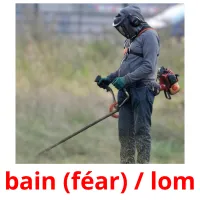 bain (féar) / lom cartes de vocabulaire