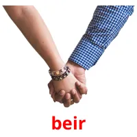 beir picture flashcards