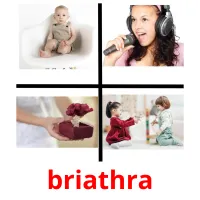 briathra picture flashcards