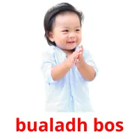 bualadh bos picture flashcards