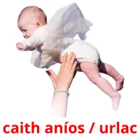 caith aníos / urlac cartes de vocabulaire