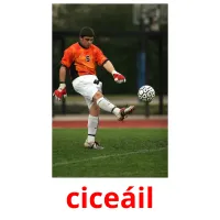 ciceáil picture flashcards