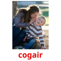 cogair picture flashcards