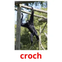 croch picture flashcards