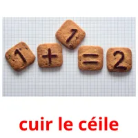 cuir le céile picture flashcards