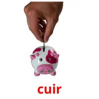 cuir picture flashcards