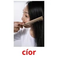 cíor picture flashcards