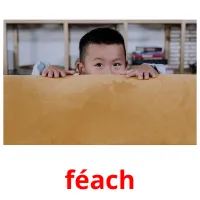 féach picture flashcards