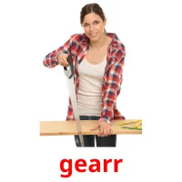 gearr picture flashcards
