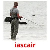 iascair picture flashcards