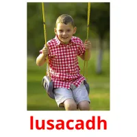 lusacadh picture flashcards