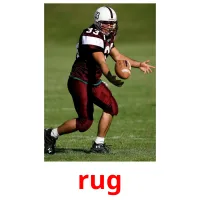 rug picture flashcards