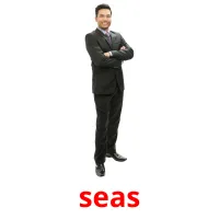 seas picture flashcards