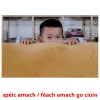 spéic amach / féach amach go ciúin cartes de vocabulaire