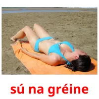 sú na gréine picture flashcards