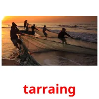 tarraing picture flashcards