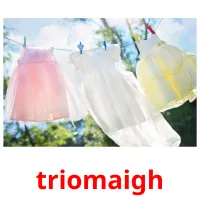 triomaigh picture flashcards