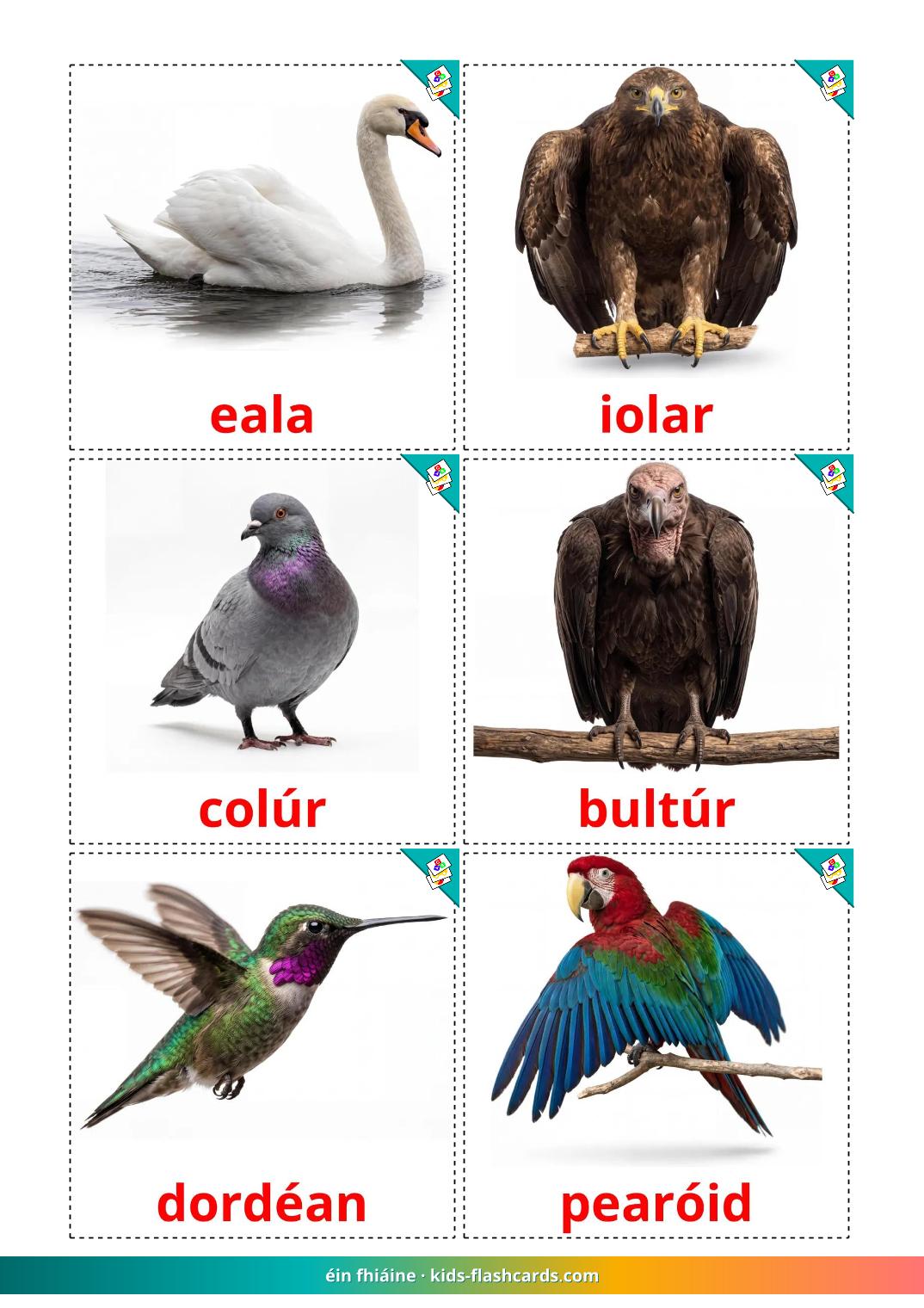 Wilde vogels - 19 gratis printbare ierse kaarten