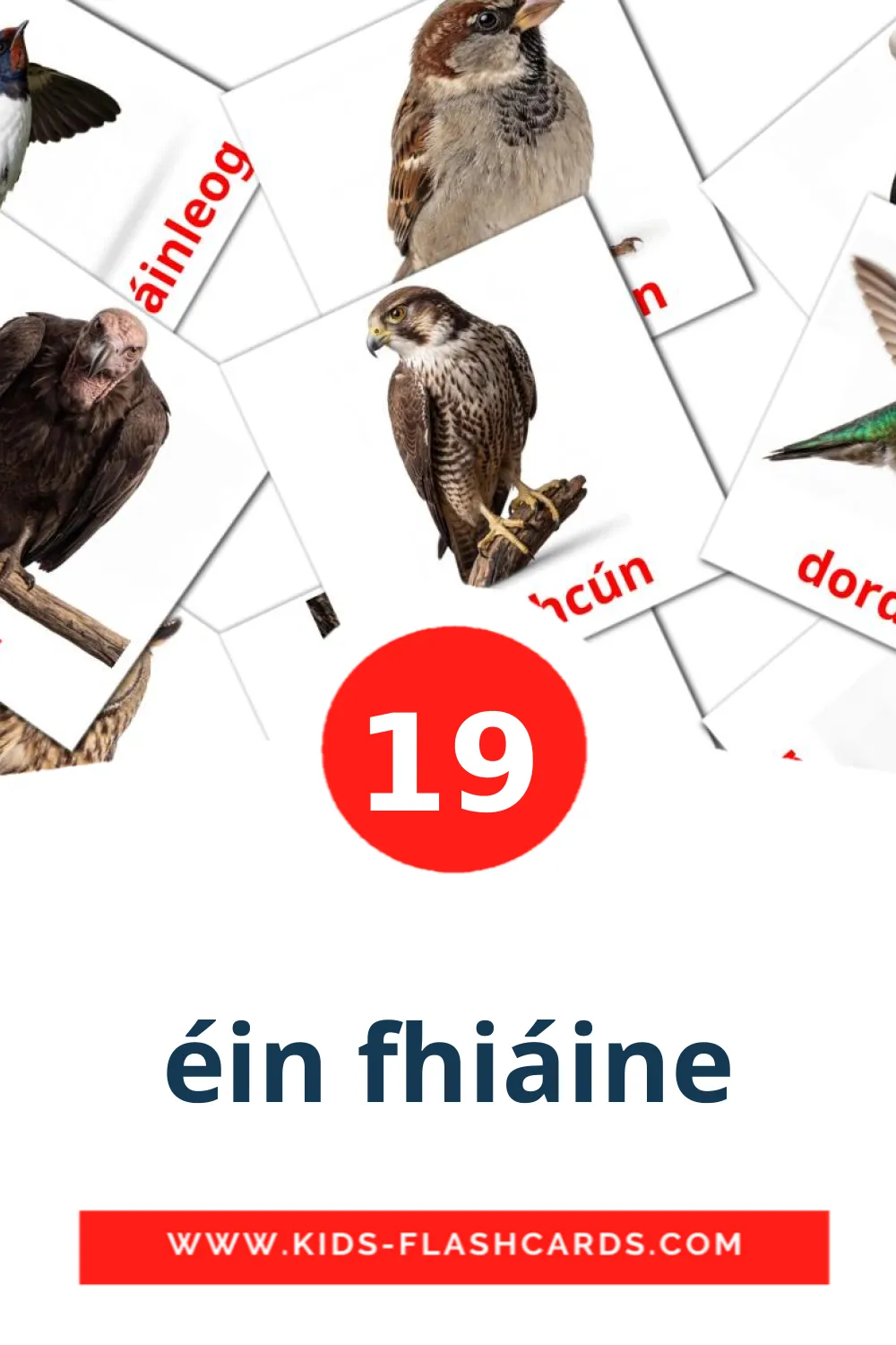 19 éin fhiáine leerkaarten voor kleuters in het iers