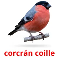 corcrán coille ansichtkaarten