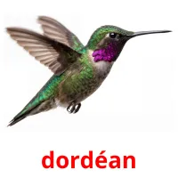 dordéan ansichtkaarten