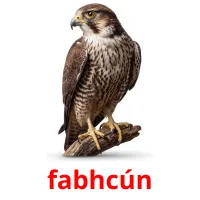 fabhcún ansichtkaarten