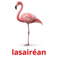 lasairéan ansichtkaarten
