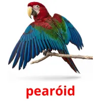 pearóid ansichtkaarten