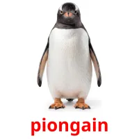 piongain ansichtkaarten