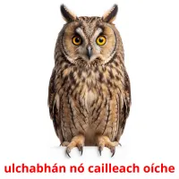 ulchabhán nó cailleach oíche ansichtkaarten