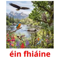 éin fhiáine ansichtkaarten
