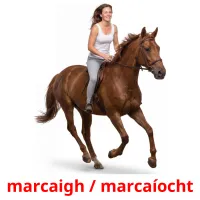 marcaigh / marcaíocht Bildkarten für Kinder