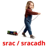 srac / sracadh Bildkarten für Kinder