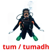 tum / tumadh Bildkarten für Kinder