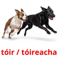tóir / tóireacha Bildkarten für Kinder