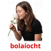bolaíocht Tarjetas didacticas