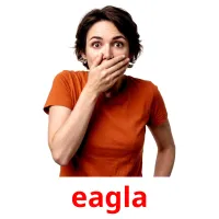 eagla Tarjetas didacticas