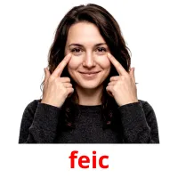 feic Tarjetas didacticas