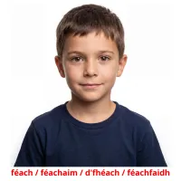 féach / féachaim / d'fhéach / féachfaidh Tarjetas didacticas